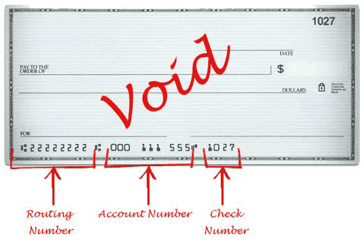 How to Void a Check Instructions and Example